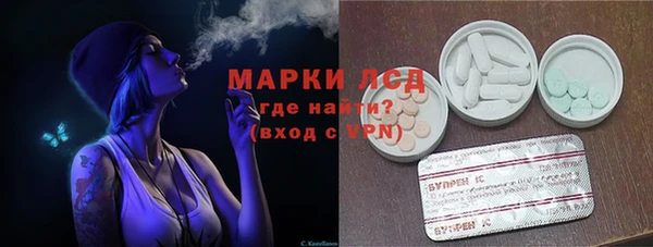 стаф Ельня
