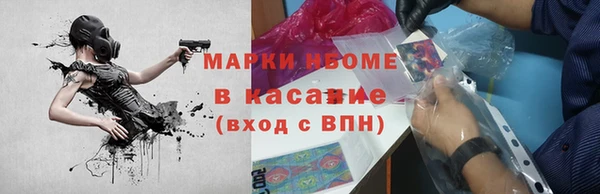 стаф Ельня