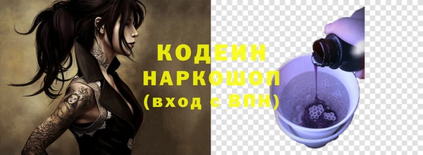 стаф Ельня