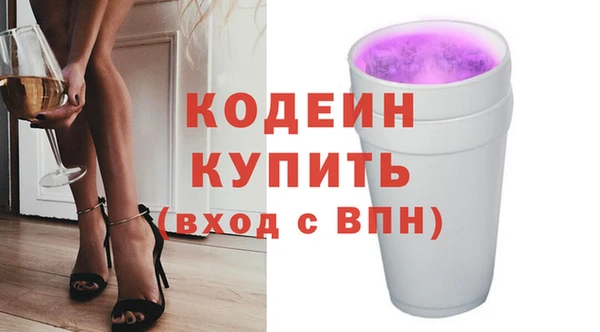 стаф Ельня