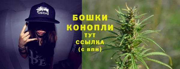 СК Дмитров