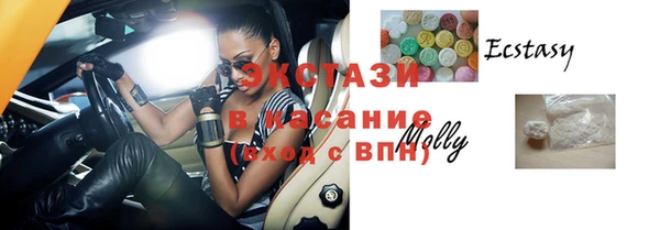 стаф Ельня