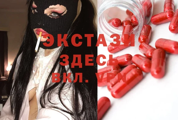СК Дмитров