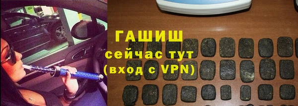 стаф Ельня