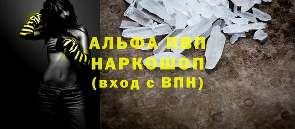 стаф Ельня
